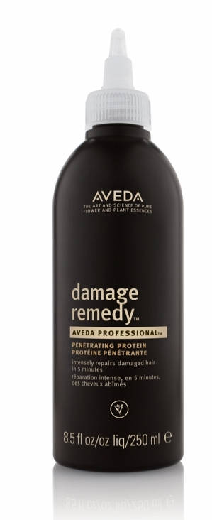 2024 Aveda Dry Remedy Penetrating Moisture Prof 8.5oz/250ml